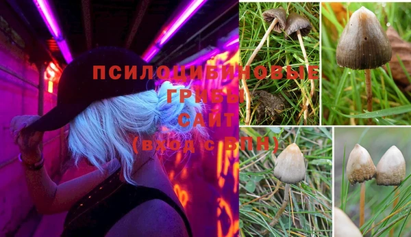 хмурый Абинск